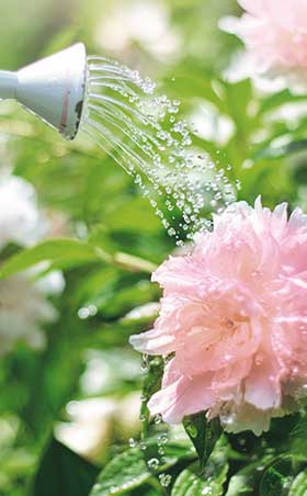 gardening techniques