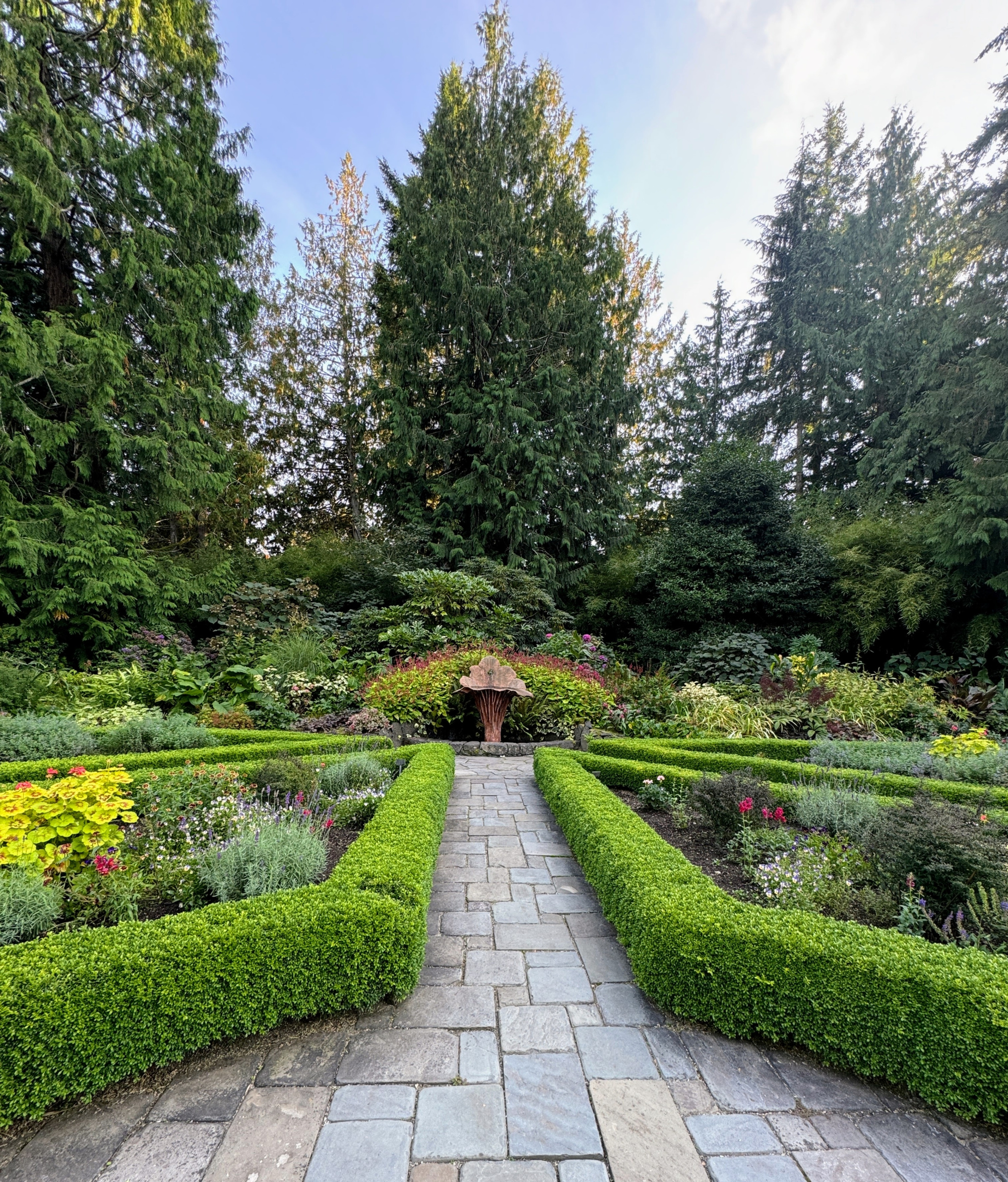 Tidying Winter Terrace Gardens