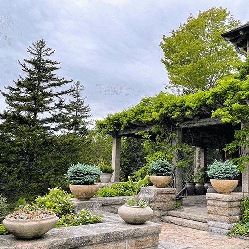 featured blog article western terrace garden